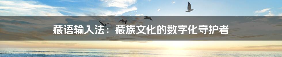 藏语输入法:藏族文化的数字化守护者