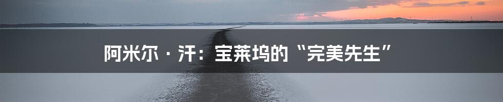 阿米尔·汗:宝莱坞的“完美先生”