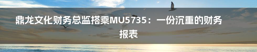 鼎龙文化财务总监搭乘MU5735:一份沉重的财务报表