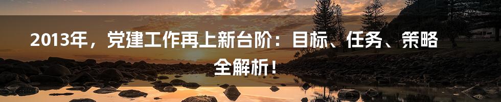 2013年，党建工作再上新台阶：目标、任务、策略全解析！