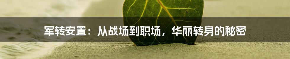 军转安置:从战场到职场,华丽转身的秘密