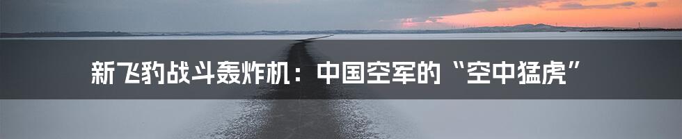 新飞豹战斗轰炸机:中国空军的“空中猛虎”