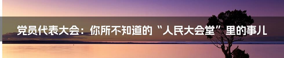 党员代表大会:你所不知道的“人民大会堂”里的事儿