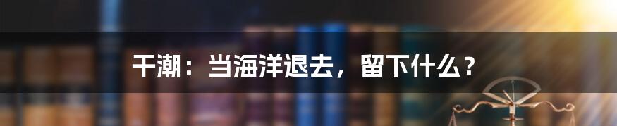 干潮:当海洋退去,留下什么?