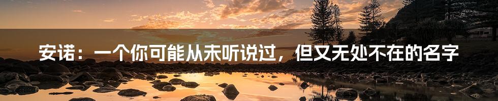 安诺:一个你可能从未听说过,但又无处不在的名字