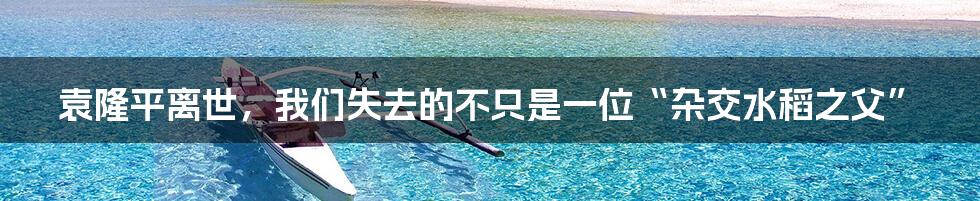 袁隆平离世，我们失去的不只是一位“杂交水稻之父”