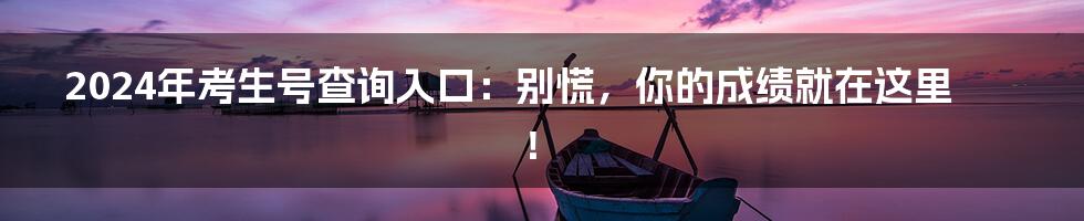 2024年考生号查询入口:别慌,你的成绩就在这里!