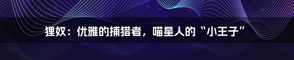 狸奴:优雅的捕猎者,喵星人的“小王子”