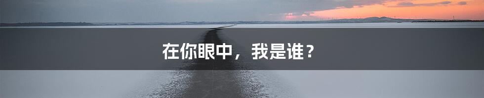 在你眼中,我是谁?