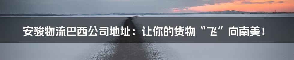 安骏物流巴西公司地址：让你的货物“飞”向南美！