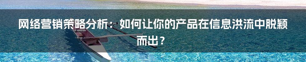 网络营销策略分析:如何让你的产品在信息洪流中脱颖而出?