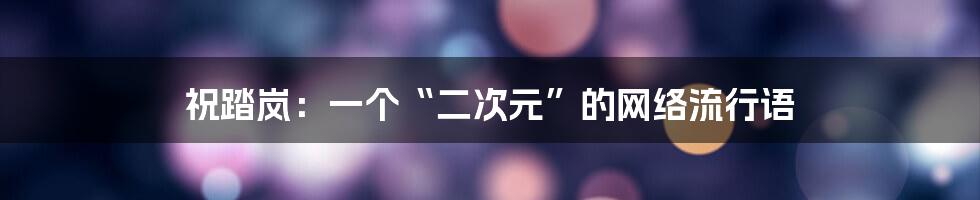 祝踏岚:一个“二次元”的网络流行语