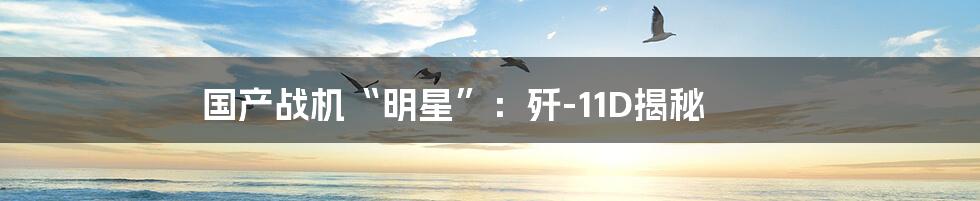 国产战机“明星”:歼-11D揭秘