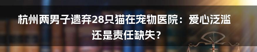 杭州两男子遗弃28只猫在宠物医院：爱心泛滥还是责任缺失？
