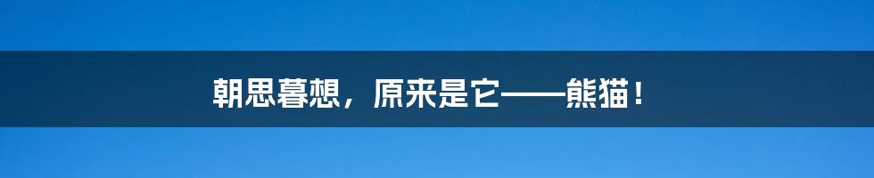 朝思暮想,原来是它——熊猫!