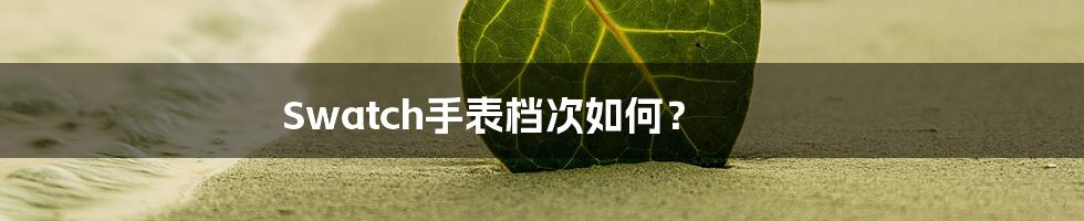 Swatch手表档次如何?