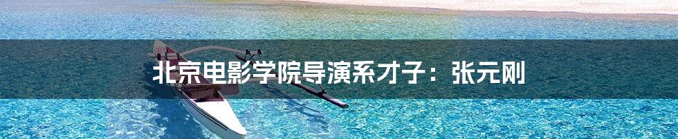 北京电影学院导演系才子：张元刚