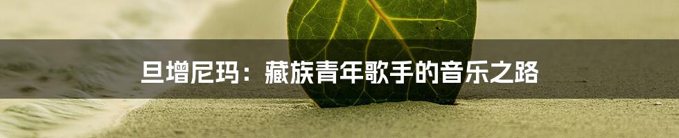 旦增尼玛:藏族青年歌手的音乐之路