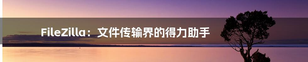 FileZilla:文件传输界的得力助手