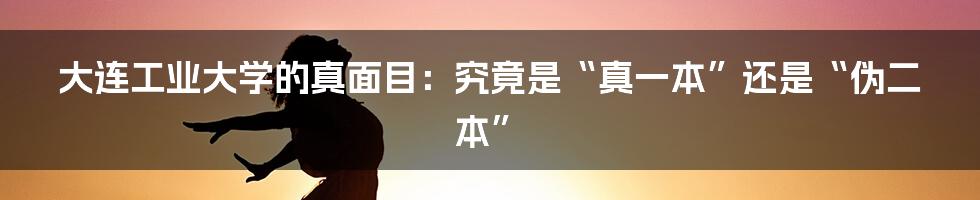 大连工业大学的真面目:究竟是“真一本”还是“伪二本”