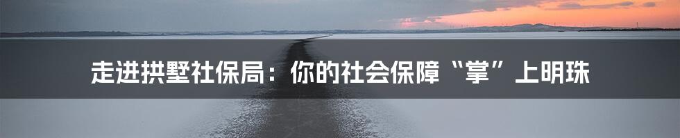 走进拱墅社保局:你的社会保障“掌”上明珠