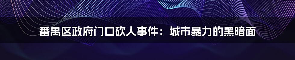 番禺区政府门口砍人事件:城市暴力的黑暗面