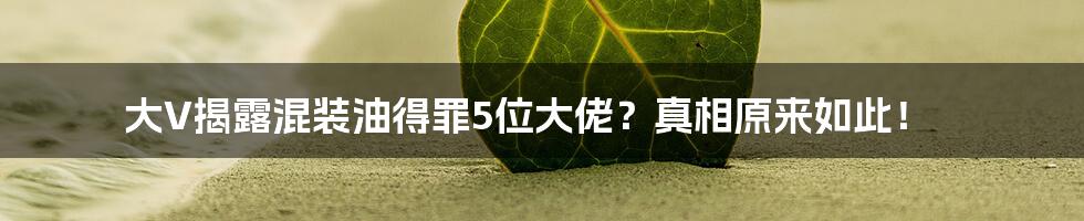 大V揭露混装油得罪5位大佬?真相原来如此!