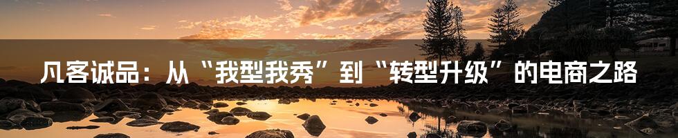 凡客诚品：从“我型我秀”到“转型升级”的电商之路