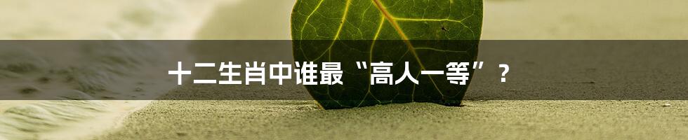 十二生肖中谁最“高人一等”?