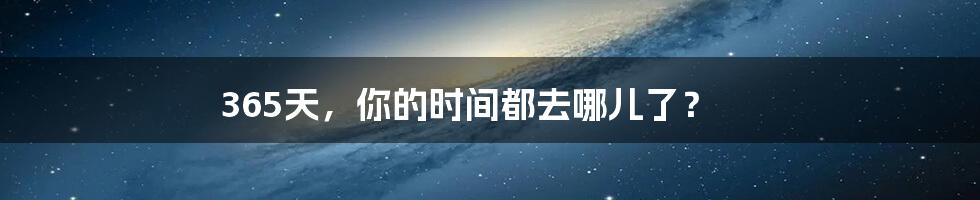 365天,你的时间都去哪儿了?