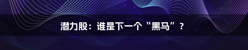 潜力股:谁是下一个“黑马”?
