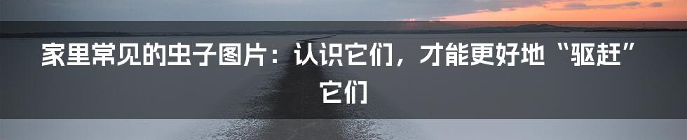 家里常见的虫子图片:认识它们,才能更好地“驱赶”它们