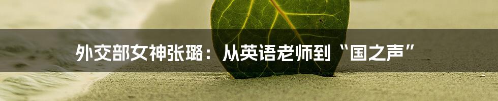 外交部女神张璐:从英语老师到“国之声”