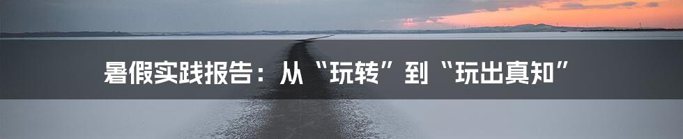 暑假实践报告:从“玩转”到“玩出真知”