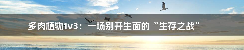 多肉植物1v3:一场别开生面的“生存之战”