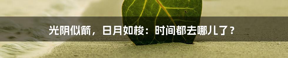 光阴似箭,日月如梭:时间都去哪儿了?