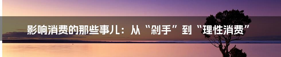 影响消费的那些事儿:从“剁手”到“理性消费”
