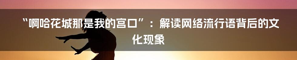 “啊哈花城那是我的宫口”:解读网络流行语背后的文化现象