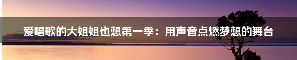 爱唱歌的大姐姐也想第一季:用声音点燃梦想的舞台