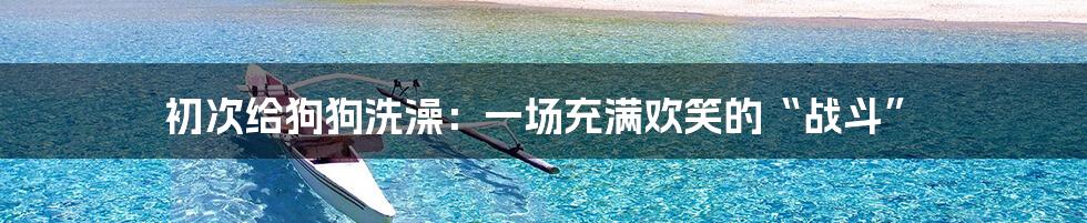 初次给狗狗洗澡:一场充满欢笑的“战斗”