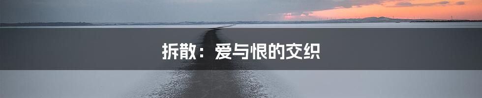 拆散：爱与恨的交织
