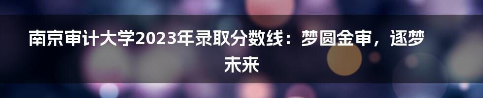 南京审计大学2023年录取分数线:梦圆金审,逐梦未来