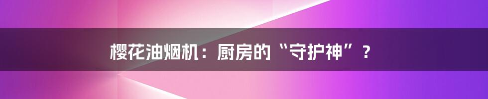 樱花油烟机：厨房的“守护神”？
