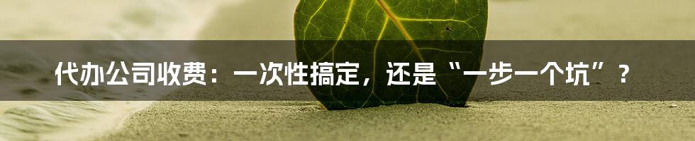 代办公司收费:一次性搞定,还是“一步一个坑”?