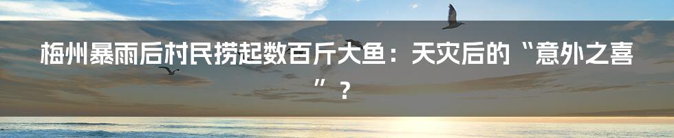 梅州暴雨后村民捞起数百斤大鱼:天灾后的“意外之喜”?