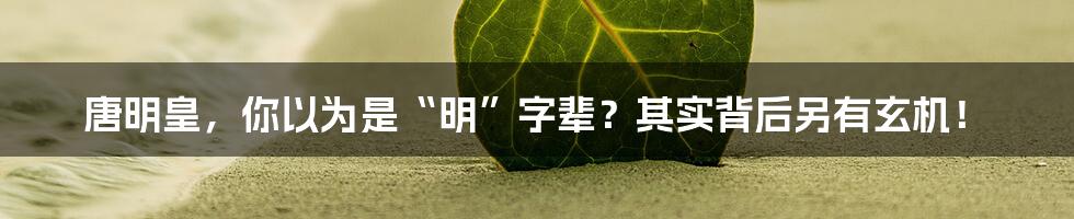 唐明皇,你以为是“明”字辈?其实背后另有玄机!