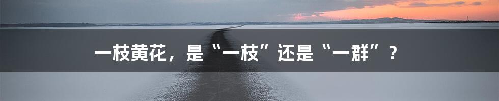 一枝黄花,是“一枝”还是“一群”?