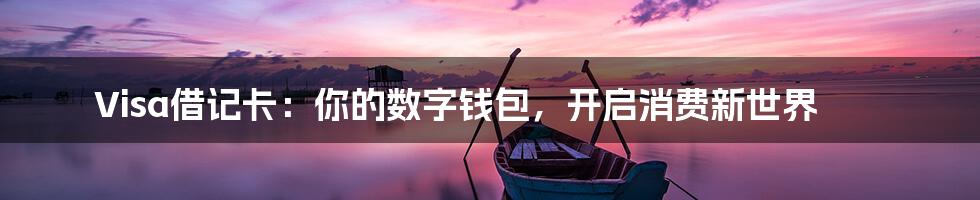 Visa借记卡：你的数字钱包，开启消费新世界