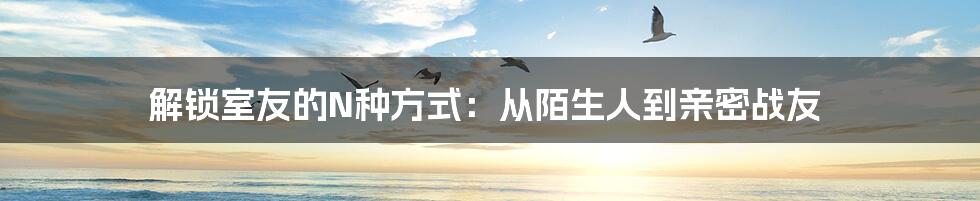 解锁室友的N种方式:从陌生人到亲密战友