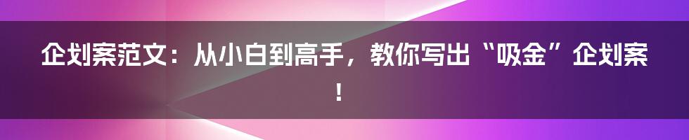 企划案范文:从小白到高手,教你写出“吸金”企划案!
